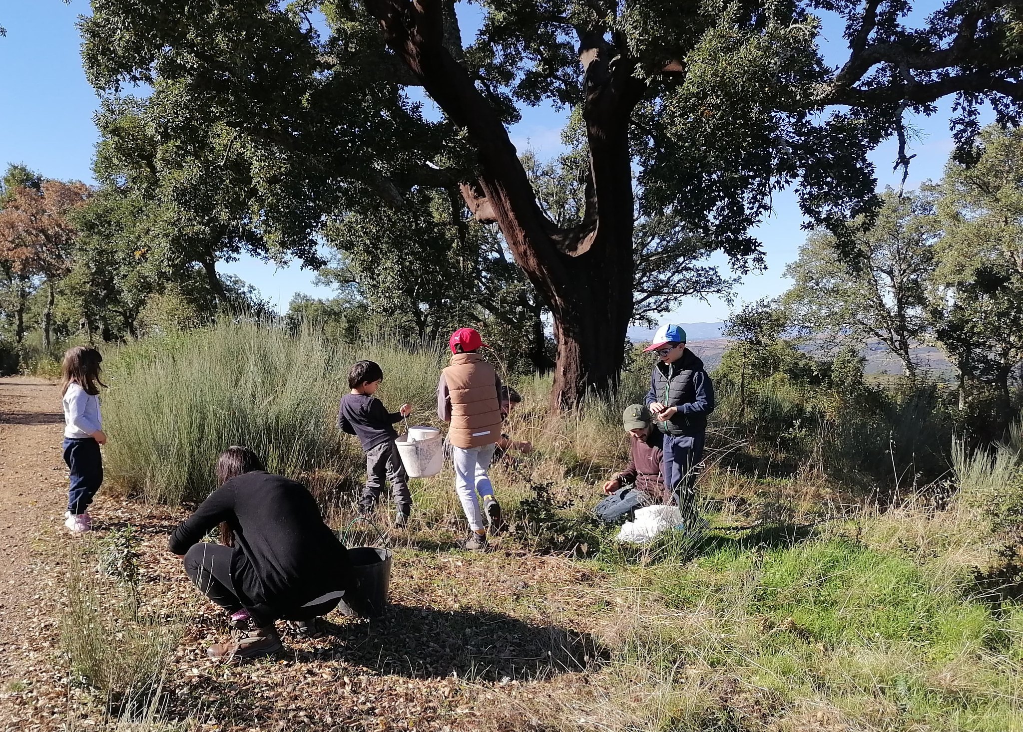10H00-12H00 | Caminhada sensorial | Parque da Ribeira do Juncal-Mogadouro