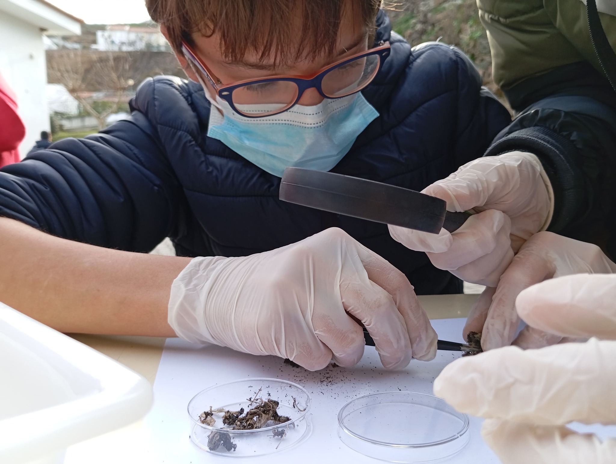 10H00–11H00 | Na senda dos ácaros aquáticos | Parque Ribeira do Juncal - Mogadouro