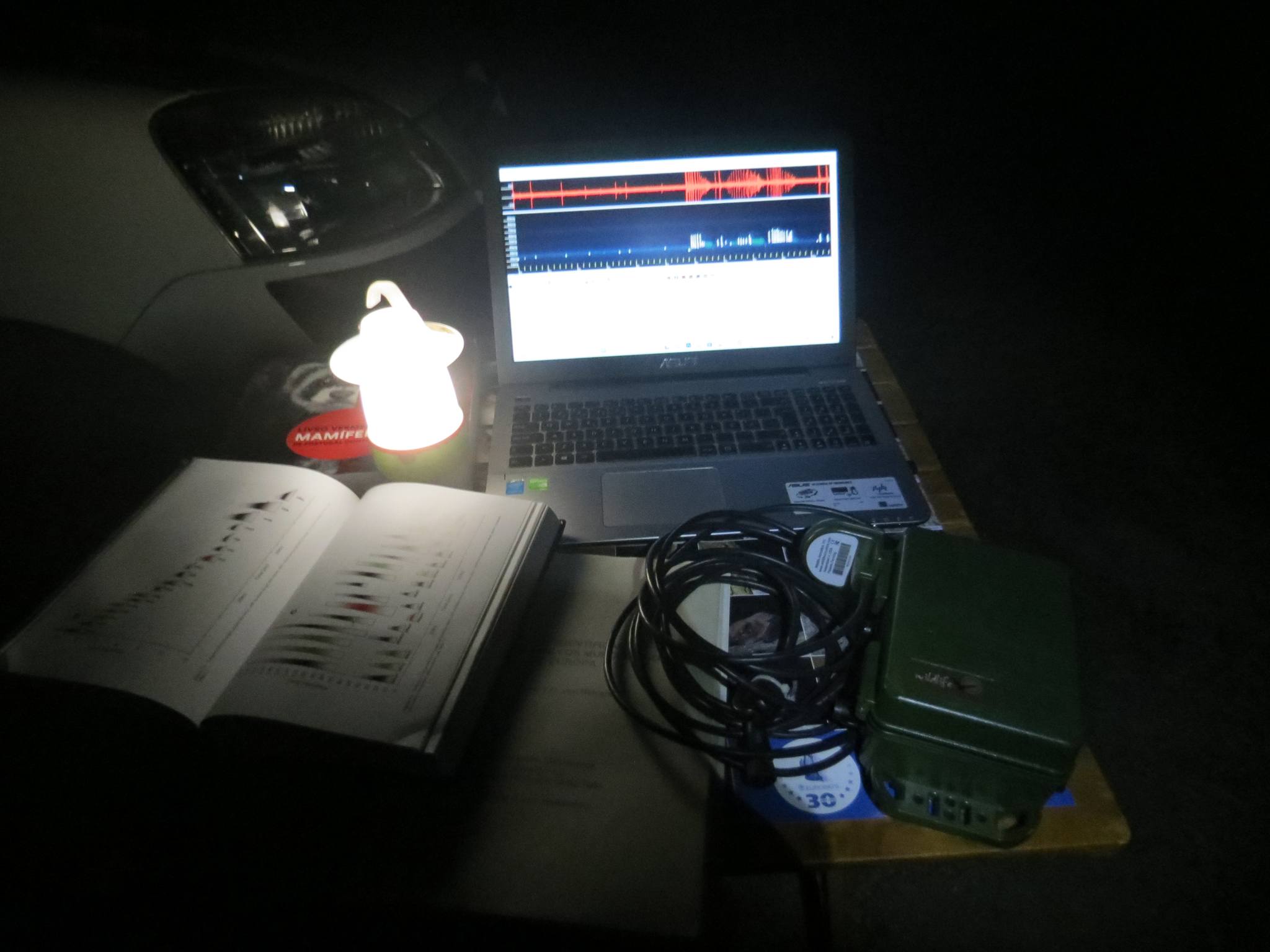 20H15–23H00 | Caminhada noturna: Morcegos e a Saúde dos Ecossistemas | Atenor - Miranda do Douro