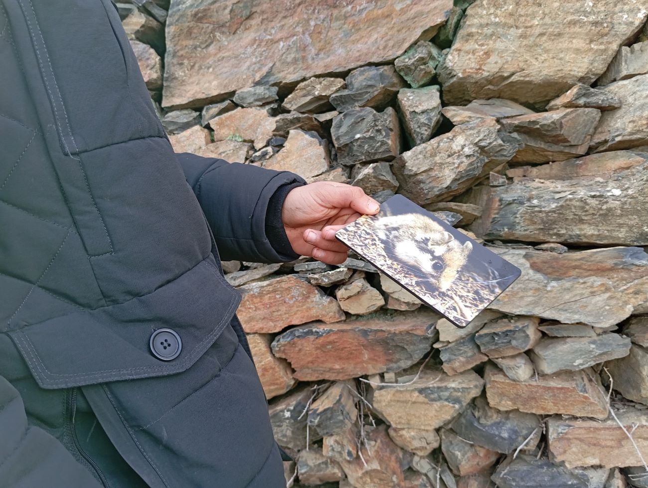 09H00-12H00 | Paisagens Vivas: A Relação entre Estruturas Verdes e Biodiversidade | Picote - Miranda do Douro