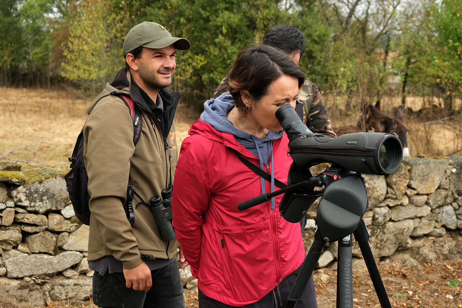 10 de maio | Curso de Introdução à Observação de Aves | Parque da Ribeira do Juncal - Mogadouro