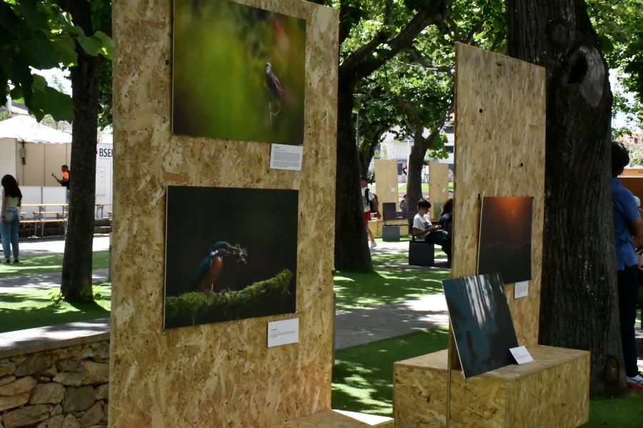 Exposições | Centro Interpretativo do Mundo Rural