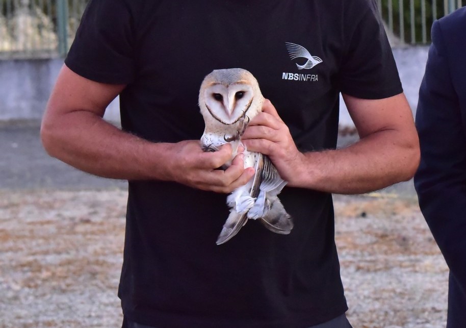 14H30 | 27 Anos do PNDI: Devolução de uma ave à natureza | Parque da Ribeira do Juncal - Mogadouro