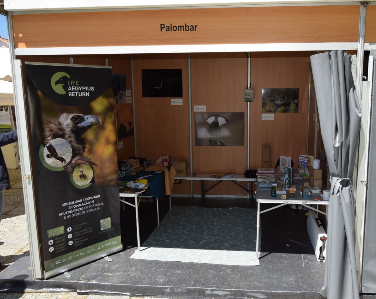 9, 10 e 11 de Maio | Banca Palombar