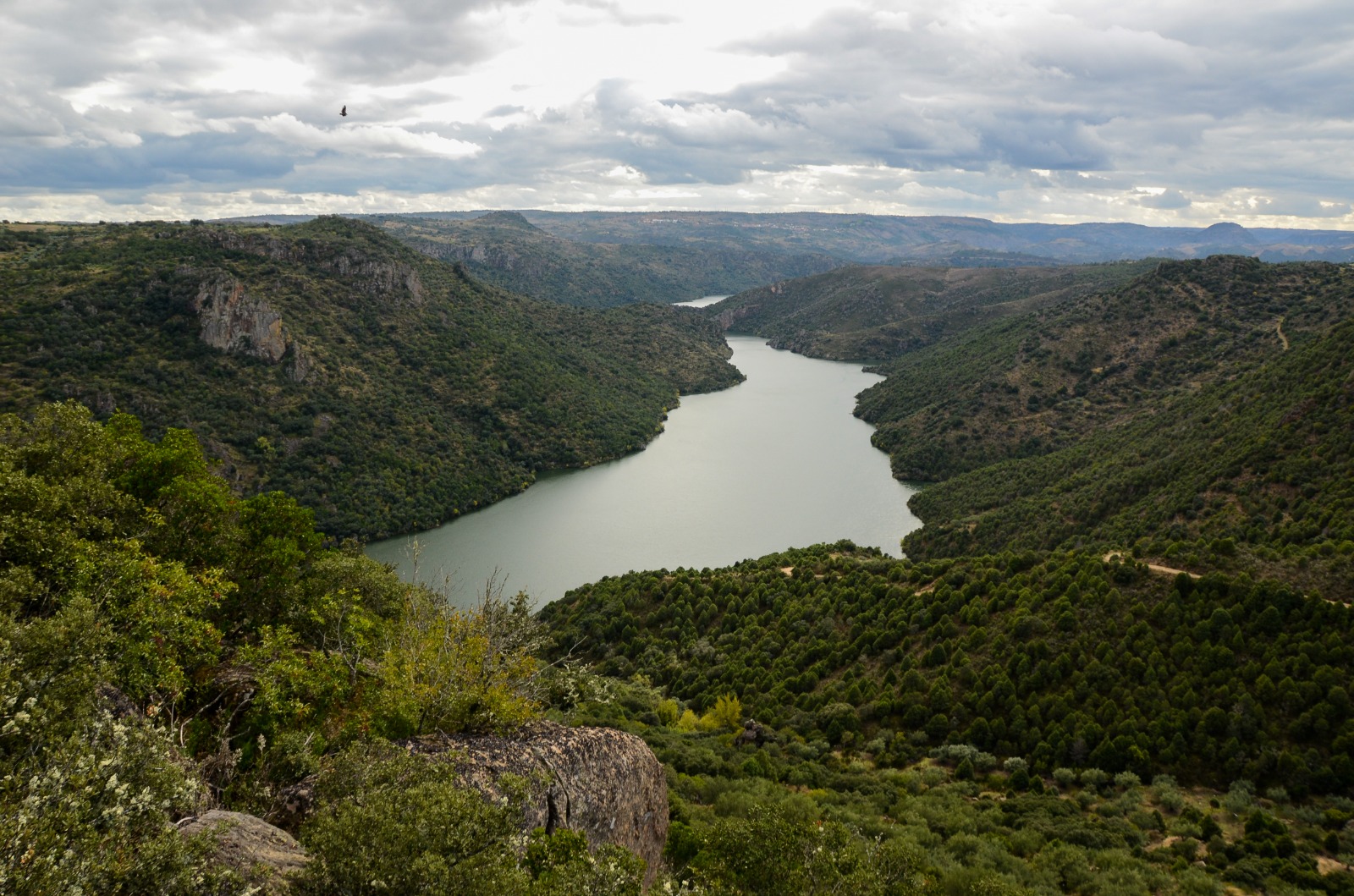 O vinho como forma de expressão do território do PNDI