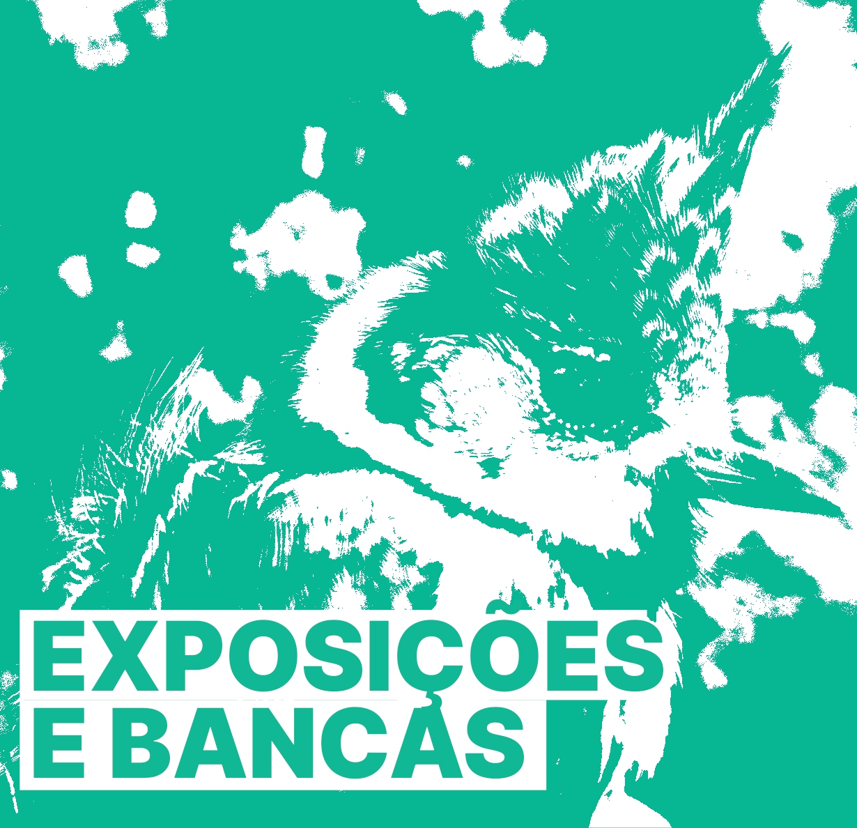 Exposi��es e Bancas