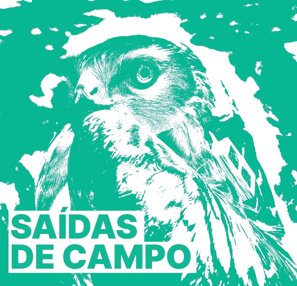 Sa�das de campo